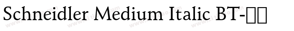 Schneidler Medium Italic BT字体转换
